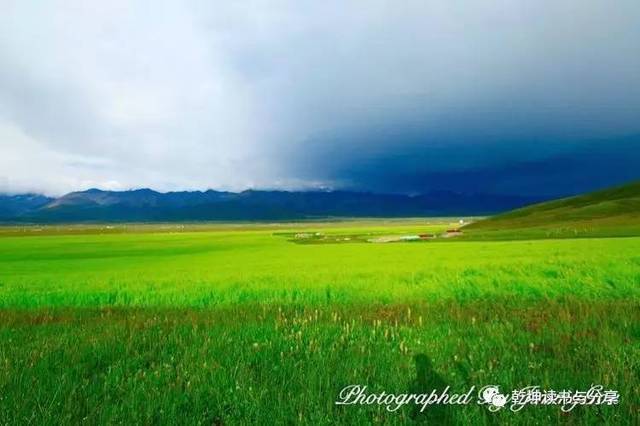  李甫安杀川岛谷川的事迹 