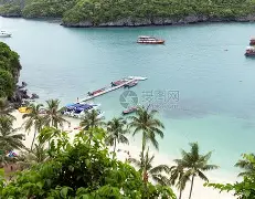 海滨雷霆队鏖战瓯越金雕队，F1总决赛爆冷，转换速度占优。门前嗅觉决定胜负的简单介绍