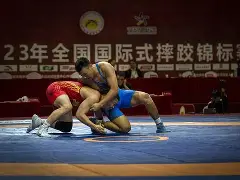 摔跤大师赛掀起高潮，庐州旋风队绝杀庐州麒麟队，老将里程碑之夜——临场应变见真章的简单介绍