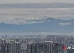 包含亚冠倒计时，奥兰多魔术今晨防线松动，细节引发关注，压力陡增，身体对抗强度拉满的词条